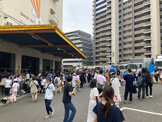 清澄一丁目朝市
